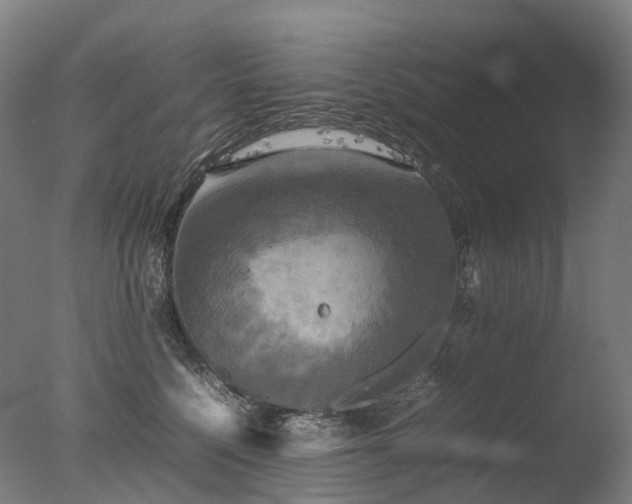 X0000077360568200610201325