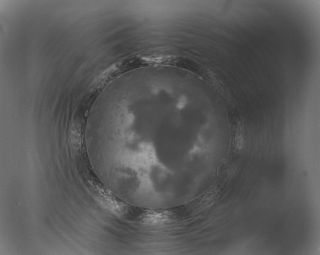 X0000077360569200610201325