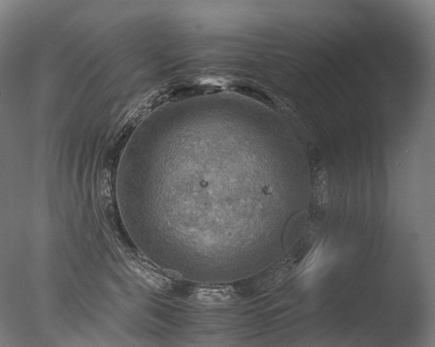 X0000077360571200610201326