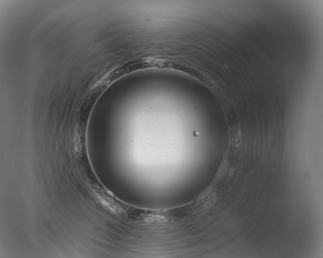 X0000077360572200610201326