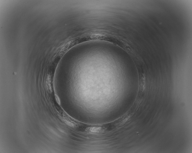 X0000077360575200610201326