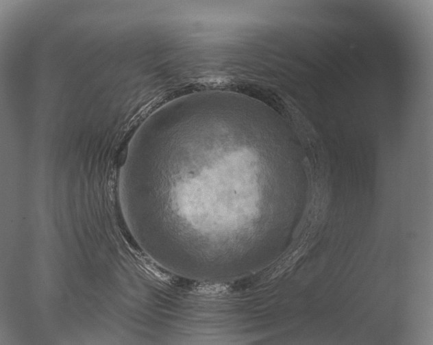 X0000077360576200610201326