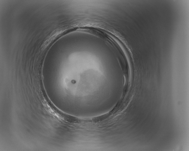 X0000077360577200610201325