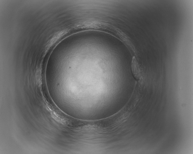 X0000077360578200610201325