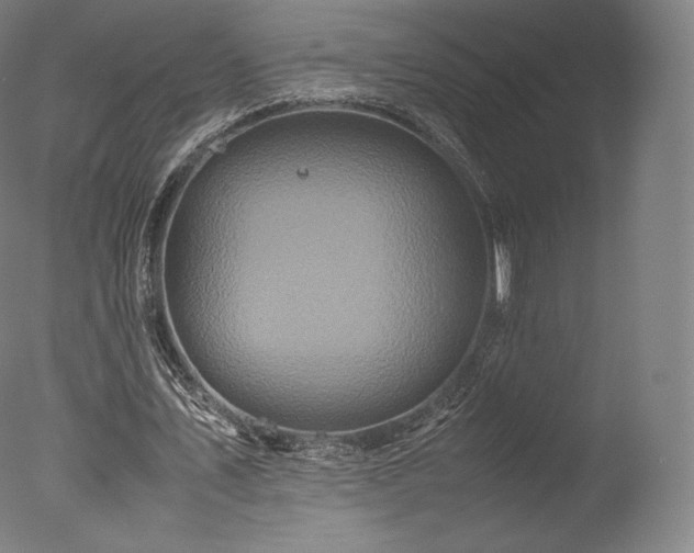 X0000077360579200610201325