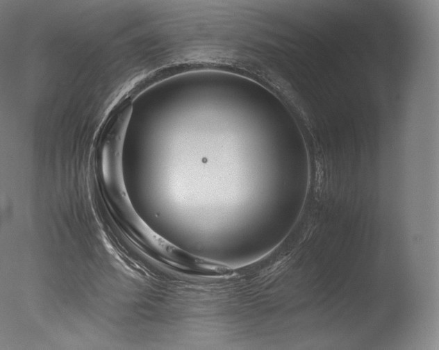 X0000077360580200610201325