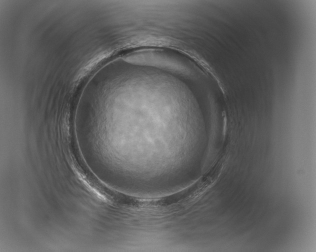 X0000077360581200610201325