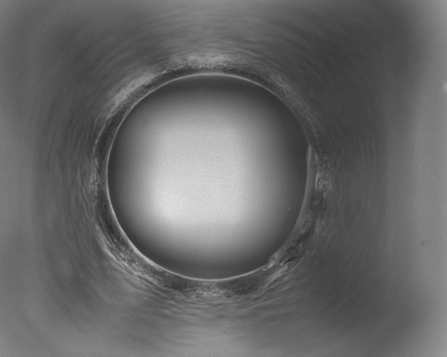 X0000077360583200610201325