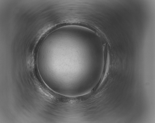 X0000077360584200610201325