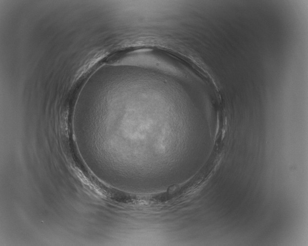 X0000077360585200610201325