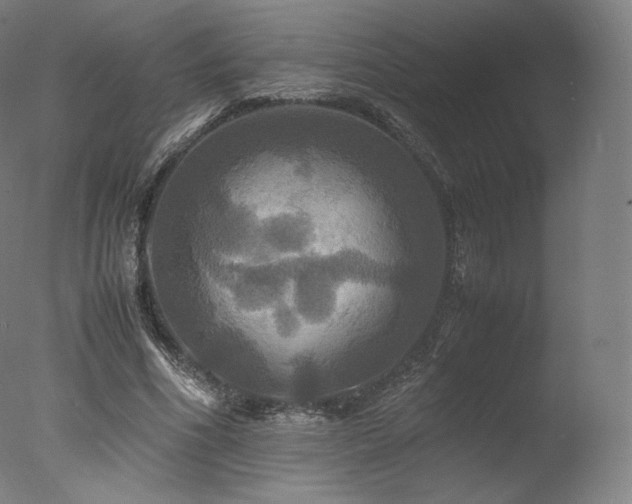 X0000077360586200610201325