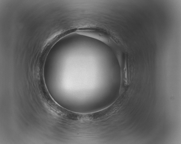 X0000077360587200610201325