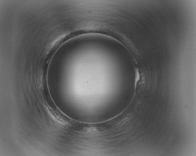 X0000077360588200610201325