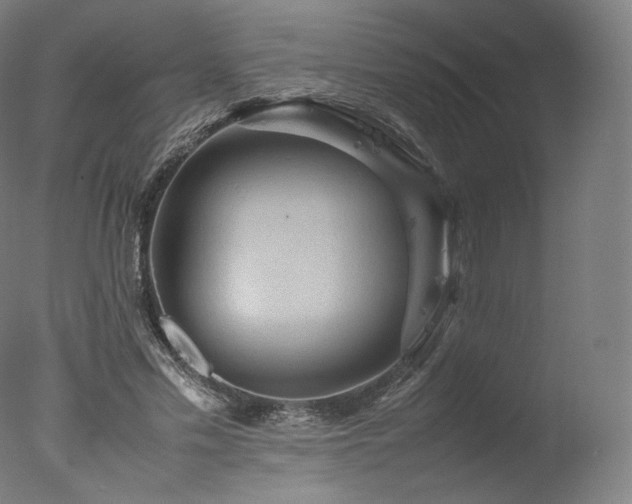 X0000077360589200610201325