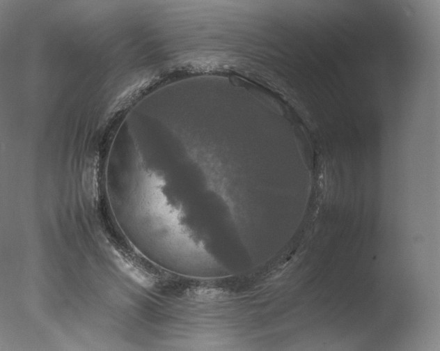 X0000077360590200610201325