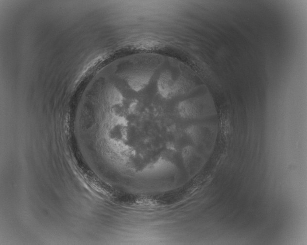 X0000077360591200610201325