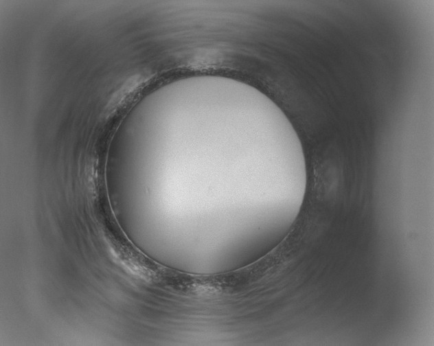 X0000077360592200610201325