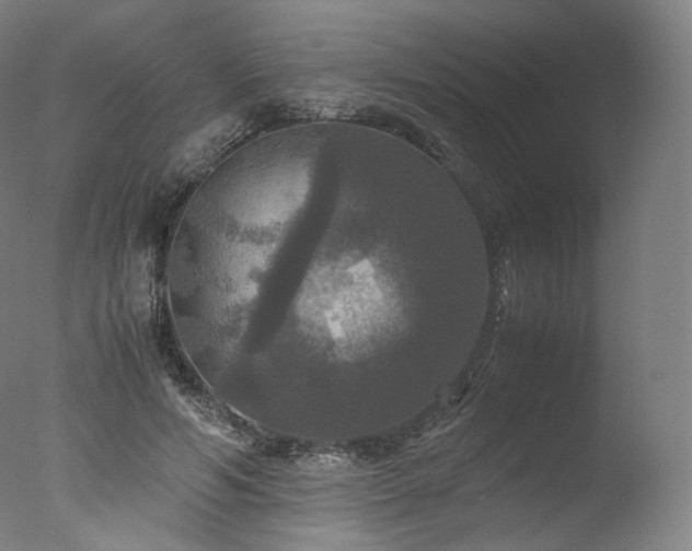 X0000077360594200610201324