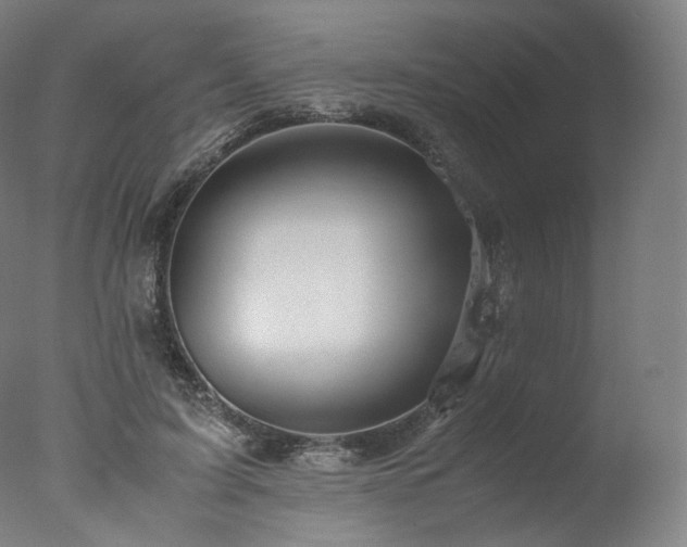 X0000077360595200610201324