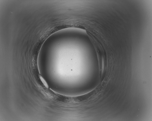 X0000077360597200610201324