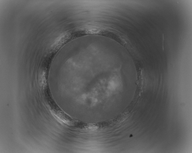 X0000077360598200610201324