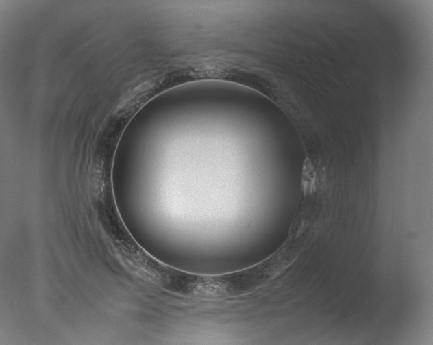 X0000077360599200610201324