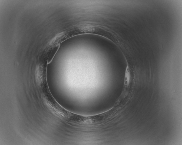 X0000077360600200610201324