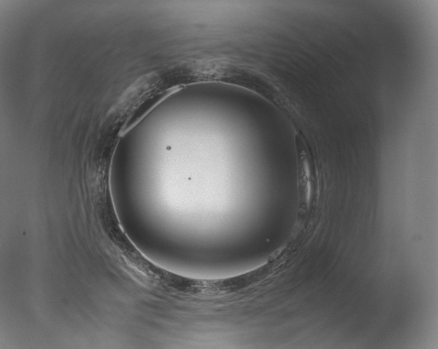 X0000077360601200610201324