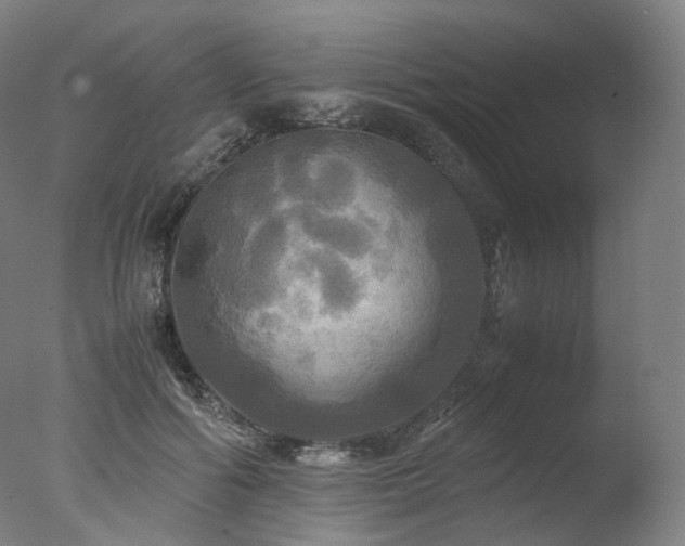 X0000077360602200610201324