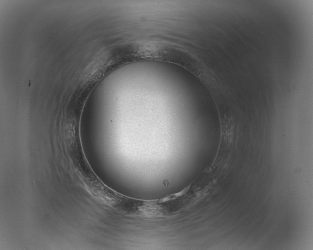 X0000077360603200610201324