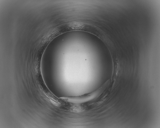 X0000077360604200610201324