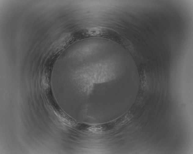 X0000077360606200610201324