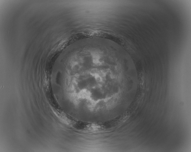 X0000077360607200610201324