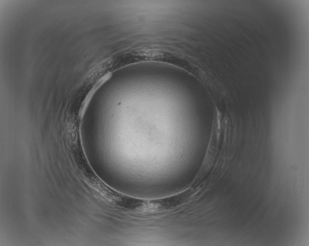 X0000077360609200610201324