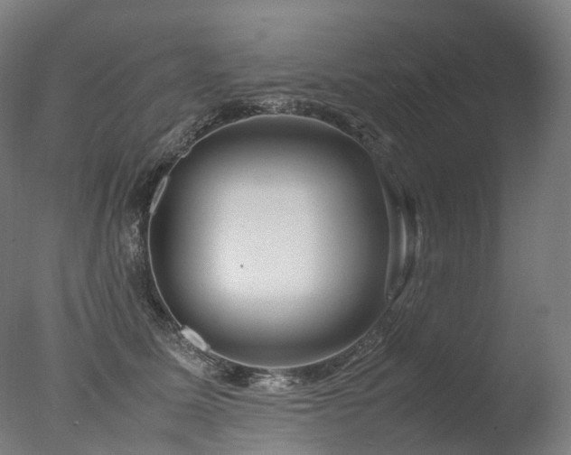 X0000077360611200610201324