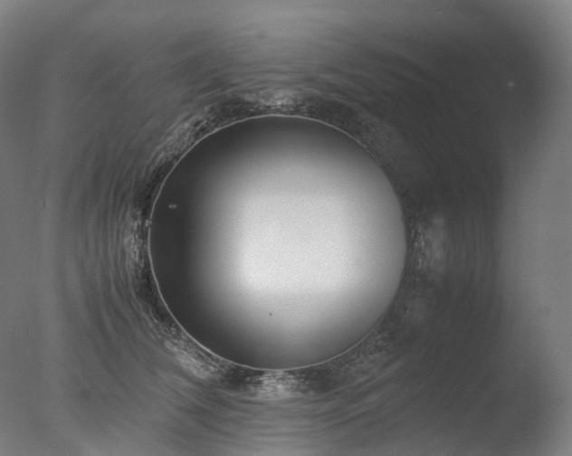 X0000077360612200610201324