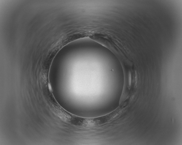 X0000077360613200610201324