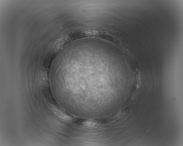 X0000077360614200610201324