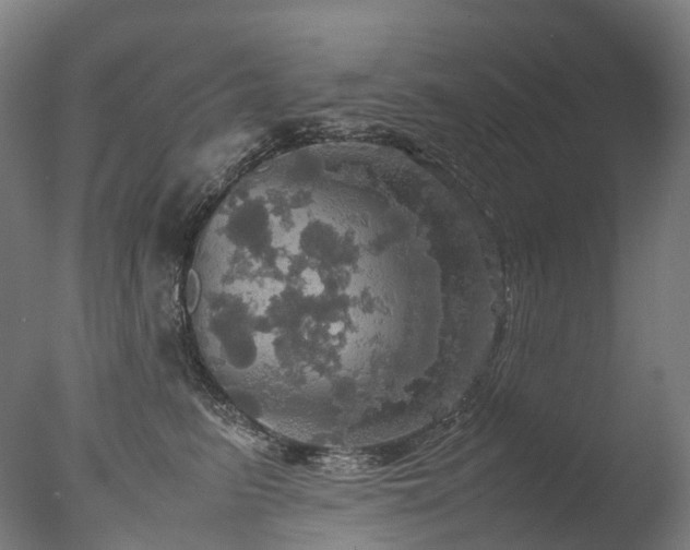 X0000077360615200610201324