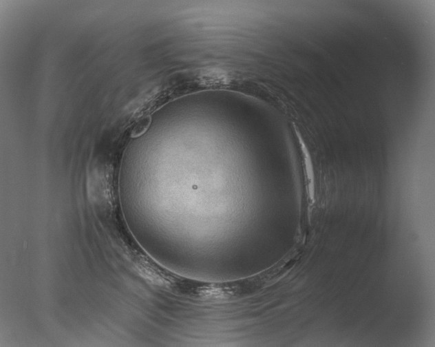 X0000077360616200610201324