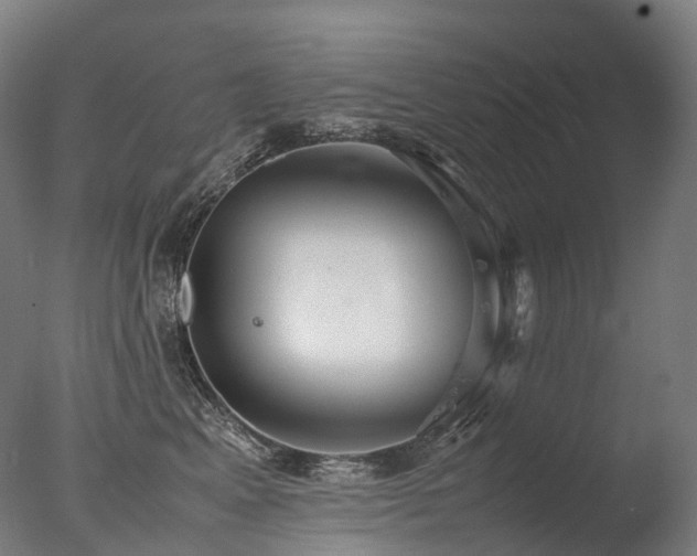 X0000077360617200610201324