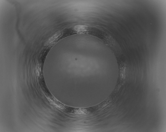 X0000077360618200610201324