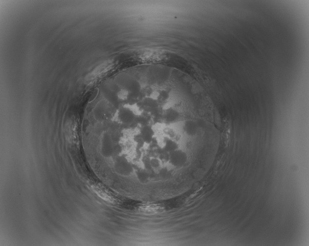 X0000077360619200610201324