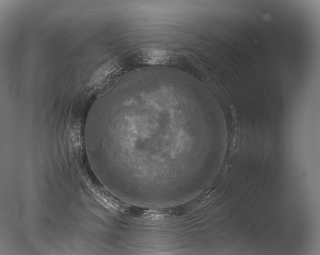 X0000077360620200610201324