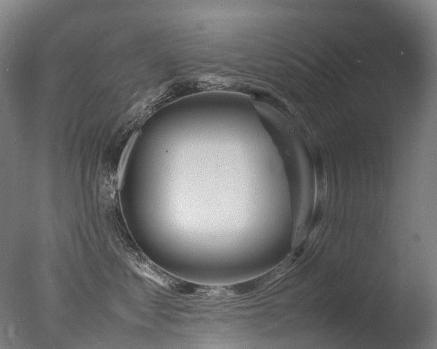 X0000077360621200610201324