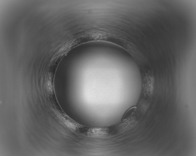 X0000077360622200610201324