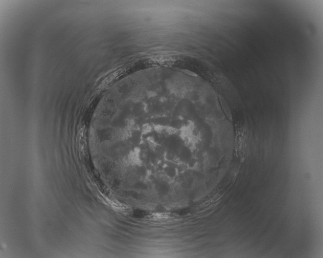 X0000077360623200610201324