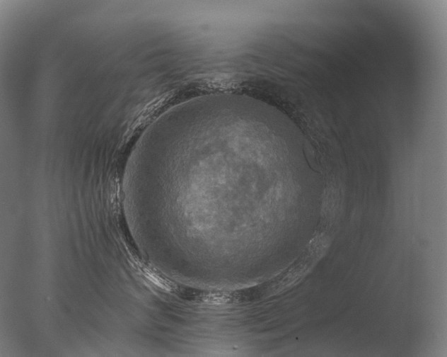 X0000077360624200610201324