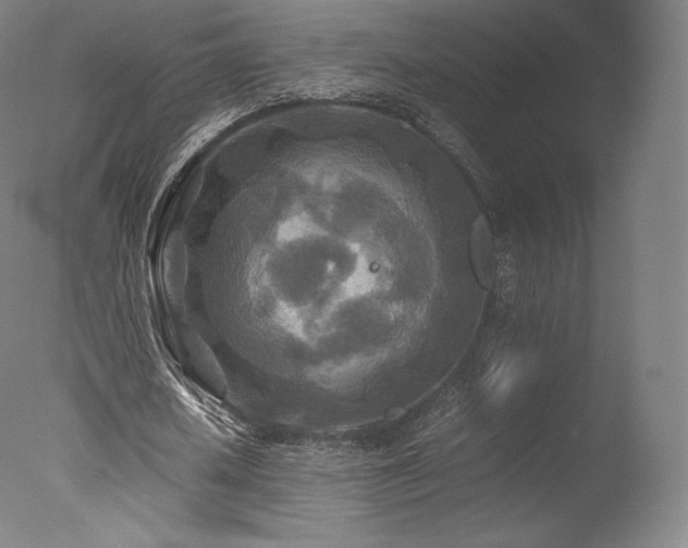 X0000077360626200610201323