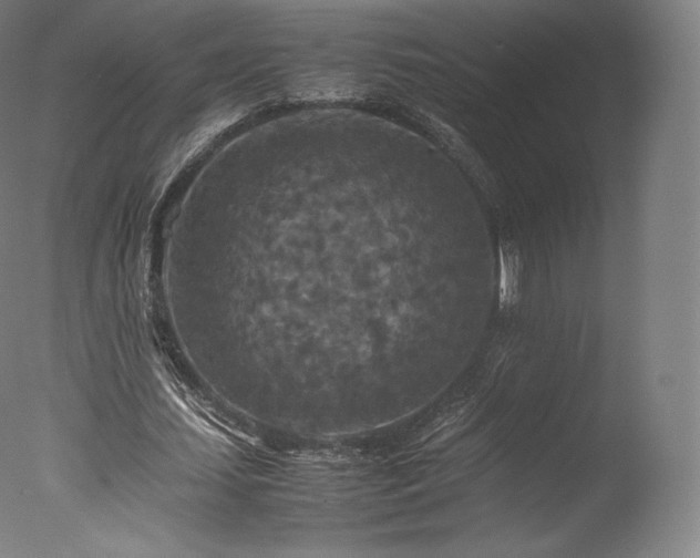 X0000077360627200610201323